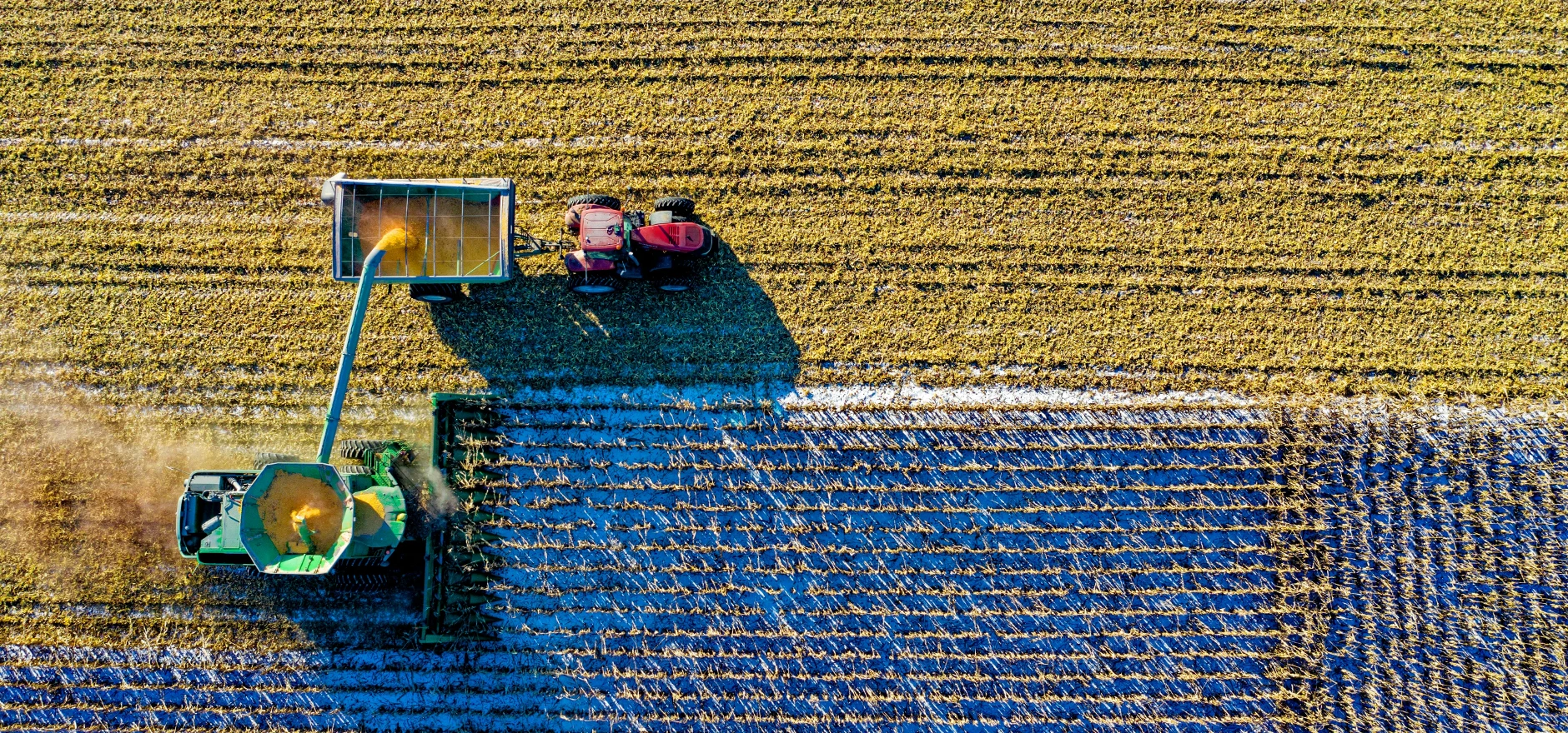 Top View of Green Field